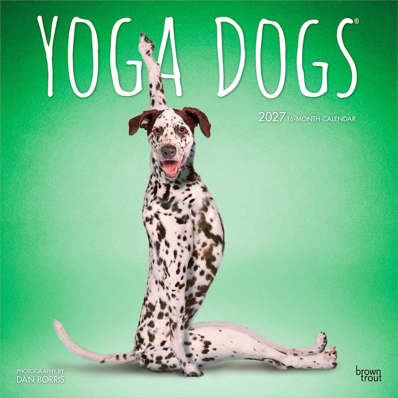 Puede incluir: Un calendario de 16 meses de 2027 titulado "YOGA DOGS" presenta un perro d&aacute;lmata en una postura de yoga sobre un fondo verde. El perro tiene manchas negras y orejas marrones. El calendario es de BrownTrout.
