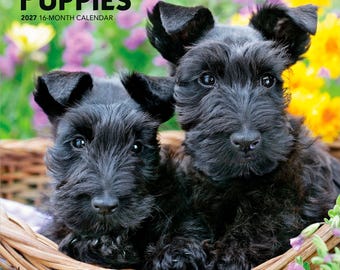 For the Love of Puppies | 2027 7 x 14 Inch (Hanging) Monthly Mini Wall Calendar | BrownTrout | Animals Dog Breeds Puppy