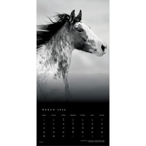 May include: Black and white calendar featuring a horse's head with a spotted coat and flowing mane. The calendar displays the month of March 2026 with a simple, minimalist design. The horse is the focal point.