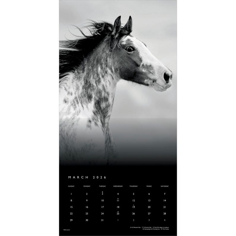 May include: Black and white calendar featuring a horse's head with a spotted coat and flowing mane. The calendar displays the month of March 2026 with a simple, minimalist design. The horse is the focal point.