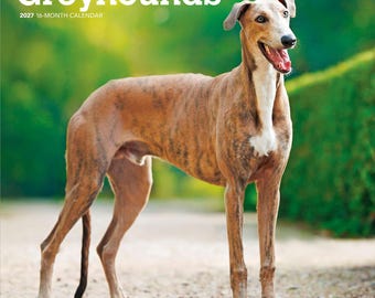 May include: A 2027 16-month calendar titled Greyhounds featuring a brindle and white Greyhound dog standing on a dirt path. The dog has a slender build, pointed ears, and an open mouth. The text BrownTrout is printed in the bottom right corner.