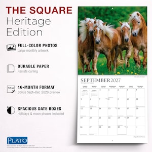 K&ouml;nnte beinhalten: Ein 16-Monats-Wandkalender mit dem Titel THE SQUARE Heritage Edition, der ein Foto von vier hellbraunen Pferden mit wei&szlig;en M&auml;hnen zeigt, die &uuml;ber eine gr&uuml;ne Wiese laufen. Die Kalenderseite zeigt den September 2027 mit einem Datumsraster.