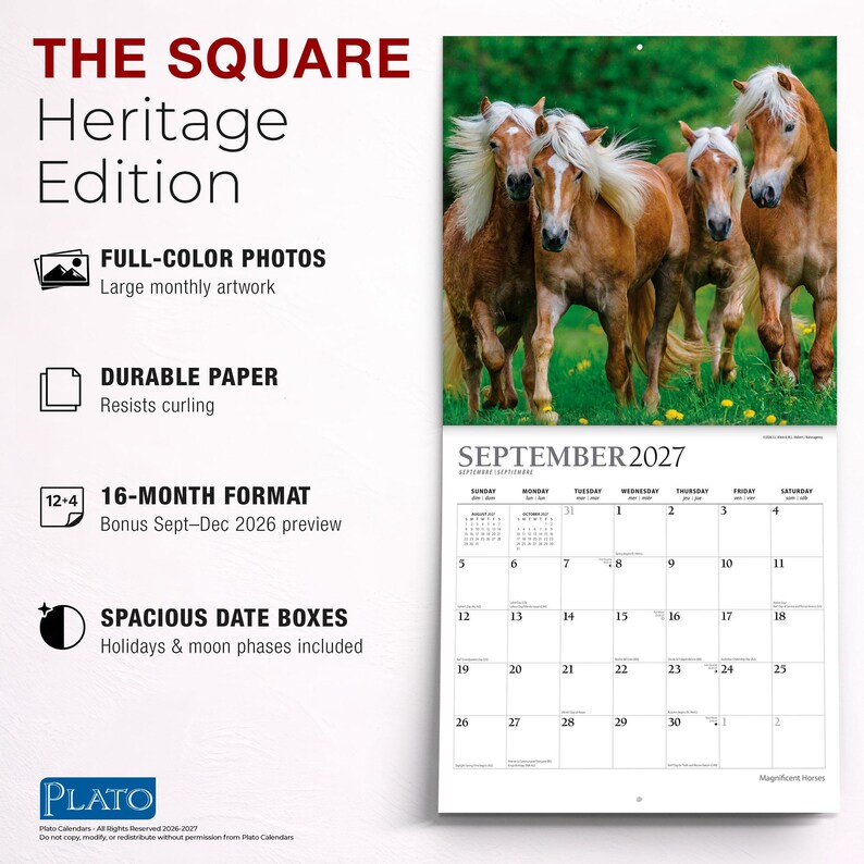 K&ouml;nnte beinhalten: Ein 16-Monats-Wandkalender mit dem Titel THE SQUARE Heritage Edition, der ein Foto von vier hellbraunen Pferden mit wei&szlig;en M&auml;hnen zeigt, die &uuml;ber eine gr&uuml;ne Wiese laufen. Die Kalenderseite zeigt den September 2027 mit einem Datumsraster.