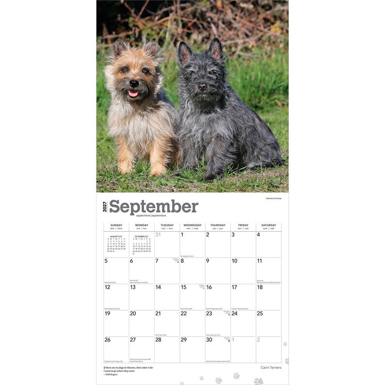 Cairn Terriers | 2027 12 x 24 Inch (Hanging) Monthly Square Wall Calendar | Plastic-Free | BrownTrout | Animals Dog Breeds image 4