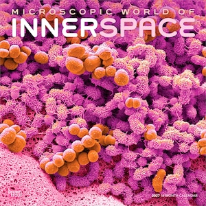 May include: A 2027 16-month calendar titled Microscopic World of Innerspace. The cover features a high-magnification, false-color image of biological structures with vibrant purple, magenta, and orange spherical clusters and textured surfaces.