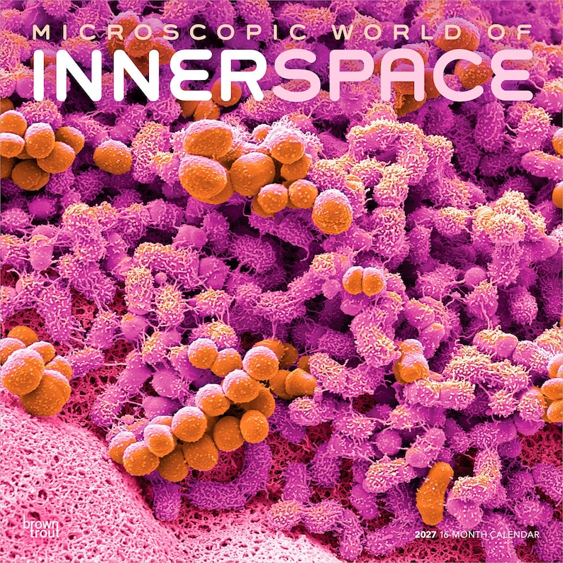 May include: A 2027 16-month calendar titled Microscopic World of Innerspace. The cover features a high-magnification, false-color image of biological structures with vibrant purple, magenta, and orange spherical clusters and textured surfaces.