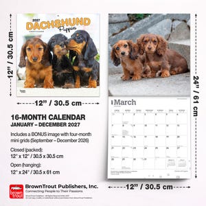 May include: A 2027 Dachshund Puppies 16-month calendar measuring 30.5 cm by 30.5 cm closed and 30.5 cm by 61 cm open. The cover features three puppies, while the interior page shows two puppies and a March 2027 grid with dates.