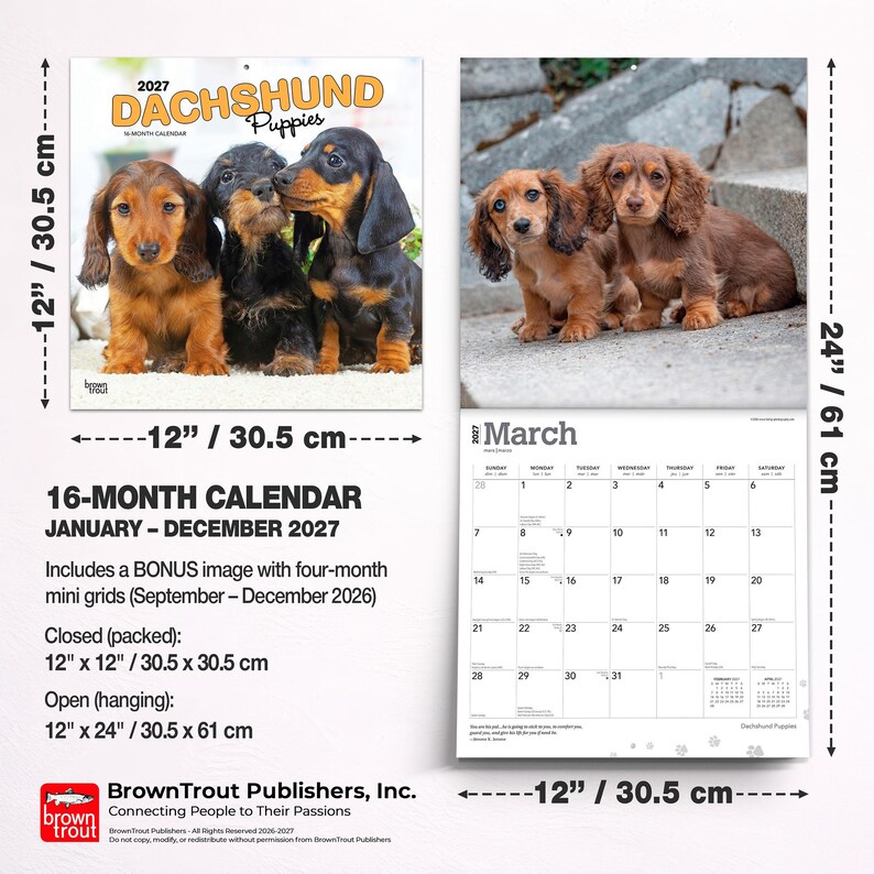 May include: A 2027 Dachshund Puppies 16-month calendar measuring 30.5 cm by 30.5 cm closed and 30.5 cm by 61 cm open. The cover features three puppies, while the interior page shows two puppies and a March 2027 grid with dates.