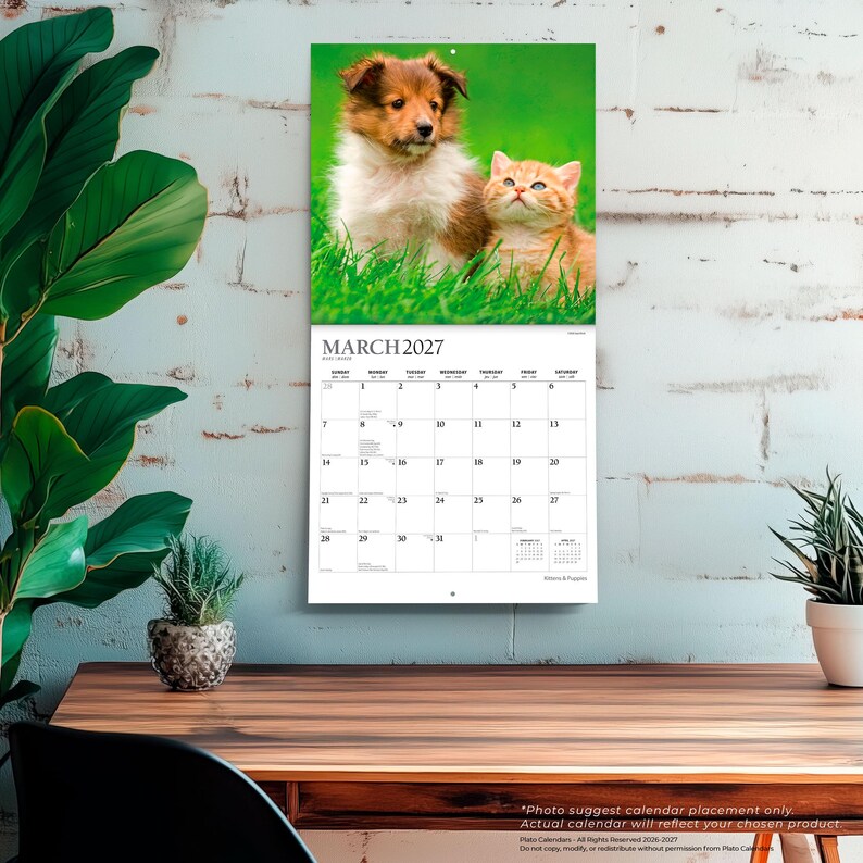 Peut inclure: Un calendrier mural pour mars 2027 pr&eacute;sentant une photographie d'un chiot brun et blanc et d'un chaton orange assis dans l'herbe verte. La grille du calendrier affiche les jours du mois avec le texte MARCH 2027 imprim&eacute; en haut de la page.