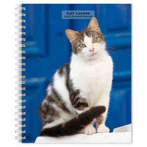 May include: A spiral-bound 2027 16-month planner titled CAT LOVERS featuring a white and brown tabby cat sitting on a white surface against a vibrant blue door background. The cat has green eyes and is looking directly toward the viewer.