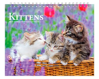 Kittens | 2027 7.5 x 6 Inch Monthly Double-View Easel Desk Calendar | BrownTrout | Animals Cats Feline