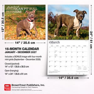 Op de afbeelding: Een 16-maanden wandkalender getiteld For the Love of American Pit Bull Terriers, lopend van januari tot december 2027. Het bevat foto's van pitbullterri&euml;rs, een rooster voor maart 2027 en meet 35,6 cm bij 61 cm wanneer volledig geopend.