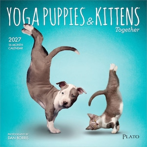 May include: A 2027 16-month calendar titled Yoga Puppies & Kittens Together with photography by Dan Borris. The cover features a gray and white puppy and a gray and white kitten performing yoga poses against a bright teal background.