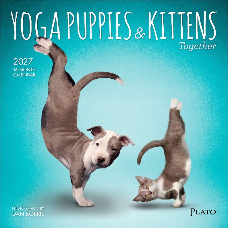 May include: A 2027 16-month calendar titled Yoga Puppies & Kittens Together with photography by Dan Borris. The cover features a gray and white puppy and a gray and white kitten performing yoga poses against a bright teal background.
