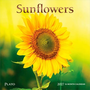 Puede incluir: Un calendario de 16 meses para 2027 titulado Sunflowers, que muestra un gran girasol amarillo vibrante con un centro marr&oacute;n oscuro sobre un fondo amarillo y verde desenfocado. La palabra Sunflowers est&aacute; impresa en marr&oacute;n arriba, con Plato abajo a la izquierda.