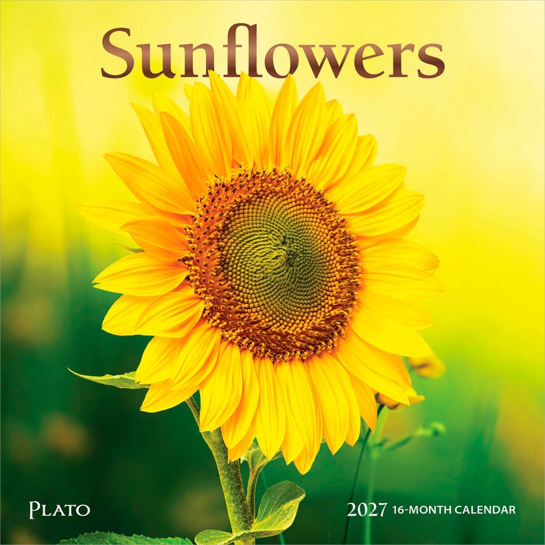 Puede incluir: Un calendario de 16 meses para 2027 titulado Sunflowers, que muestra un gran girasol amarillo vibrante con un centro marr&oacute;n oscuro sobre un fondo amarillo y verde desenfocado. La palabra Sunflowers est&aacute; impresa en marr&oacute;n arriba, con Plato abajo a la izquierda.