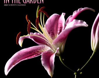 In the Garden | 2025 12 x 24 Inch Monthly Square Wall Calendar | Plastic-Free | Brush Dance | Flowers Plants Floral Photography
