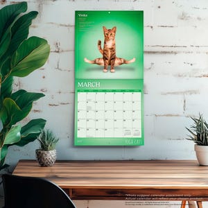 May include: A 2023 wall calendar in green and white, featuring a tabby cat in a yoga pose. The calendar is labelled "March" and "Yoga Cats". The cat is brown and orange with its legs spread wide. The calendar is hanging on a white brick wall.