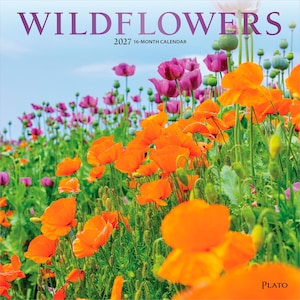 K&ouml;nnte beinhalten: Ein 16-Monats-Kalender f&uuml;r 2027 mit dem Titel WILDFLOWERS, der ein leuchtendes Feld aus orangefarbenen und violetten Mohnblumen vor einem hellblauen Himmel zeigt. Das Deckblatt tr&auml;gt den Text WILDFLOWERS und 2027 16-MONTH CALENDAR sowie den Markennamen Plato.
