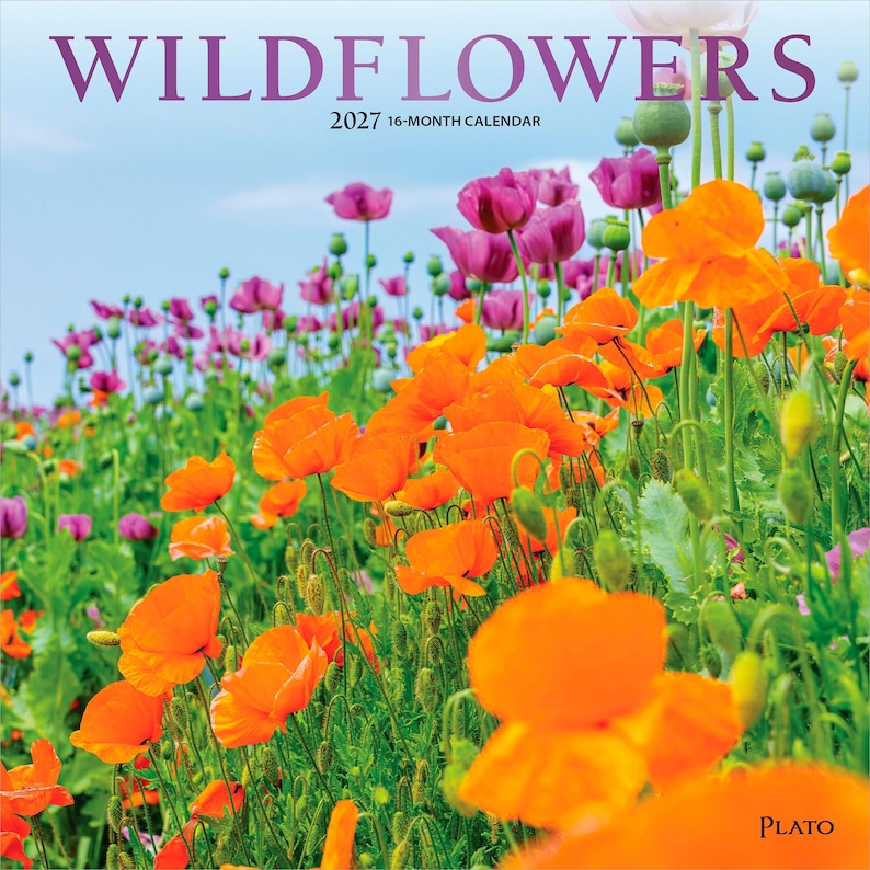 K&ouml;nnte beinhalten: Ein 16-Monats-Kalender f&uuml;r 2027 mit dem Titel WILDFLOWERS, der ein leuchtendes Feld aus orangefarbenen und violetten Mohnblumen vor einem hellblauen Himmel zeigt. Das Deckblatt tr&auml;gt den Text WILDFLOWERS und 2027 16-MONTH CALENDAR sowie den Markennamen Plato.