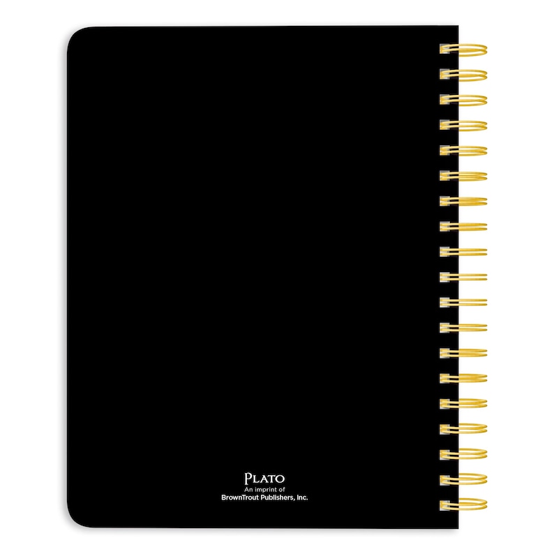 Pu&ograve; includere: Una tazza di ceramica bianca con manico nero e la scritta "But First, Coffee" in nero in grassetto. La tazza &egrave; su una superficie bianca.