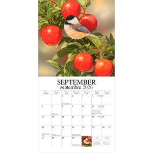 Puede incluir: Una p&aacute;gina de calendario de septiembre de 2026. Muestra una ilustraci&oacute;n detallada de un peque&ntilde;o p&aacute;jaro posado en una rama con manzanas rojas y hojas verdes. El texto "SEPTEMBER septembre 2026" se muestra en la parte superior.