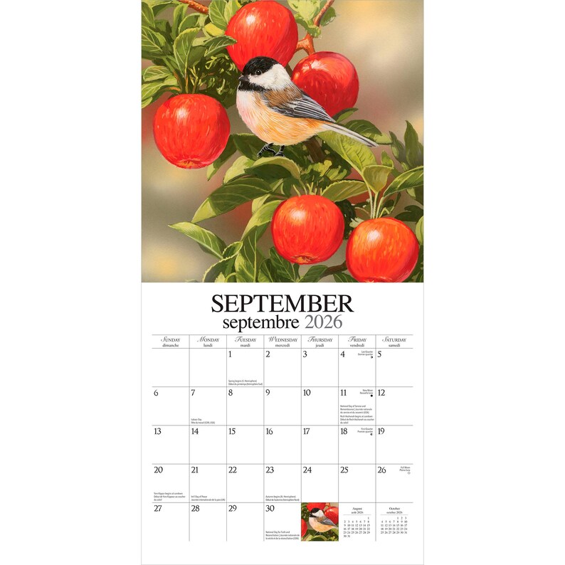 Puede incluir: Una p&aacute;gina de calendario de septiembre de 2026. Muestra una ilustraci&oacute;n detallada de un peque&ntilde;o p&aacute;jaro posado en una rama con manzanas rojas y hojas verdes. El texto "SEPTEMBER septembre 2026" se muestra en la parte superior.