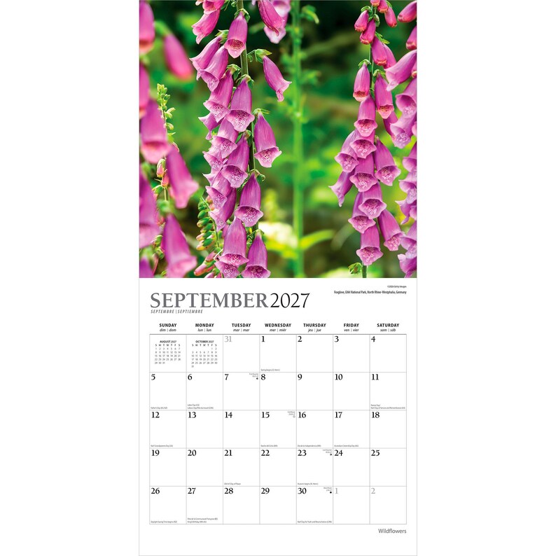 K&ouml;nnte beinhalten: Ein Wandkalender f&uuml;r September 2027 mit einer Fotografie von leuchtend rosa Fingerhutbl&uuml;ten. Das Kalenderraster zeigt den Monat, das Jahr und die Wochentage mit nummerierten Daten sowie kleine Referenzkalender f&uuml;r August und Oktober.