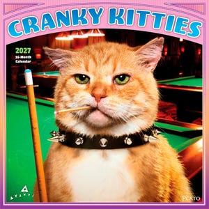 Pode incluir: Um calend&aacute;rio de 16 meses para 2027 intitulado Cranky Kitties apresentando um gato malhado laranja com olhos verdes usando uma coleira preta com espinhos e segurando um palito na boca. Um taco de bilhar de madeira est&aacute; ao lado do gato.