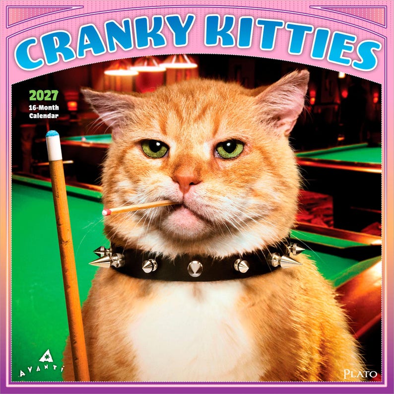 Pode incluir: Um calend&aacute;rio de 16 meses para 2027 intitulado Cranky Kitties apresentando um gato malhado laranja com olhos verdes usando uma coleira preta com espinhos e segurando um palito na boca. Um taco de bilhar de madeira est&aacute; ao lado do gato.