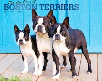 For the Love of Boston Terriers | 2027 14 x 24 Inch (Hanging) Monthly Deluxe Wall Calendar | Foil Stamped Cover | Plastic-Free | BrownTrout