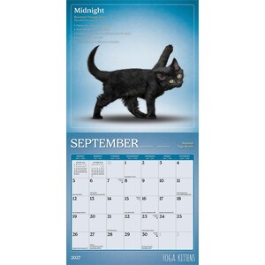 May include: A 2027 wall calendar featuring a black kitten in a yoga pose on the top page. The text reads Midnight, Revolved Triangle Pose, September, and Yoga Kittens. The bottom page displays a grid for the month of September with numbered dates.