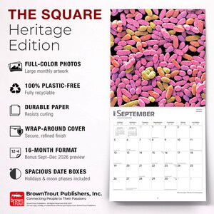 May include: A 16-month wall calendar titled THE SQUARE Heritage Edition. The top section displays a microscopic image of pink and yellow bacteria. The bottom section shows the September 2027 calendar grid with spacious date boxes and moon phases.