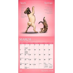 May include: A 2027 wall calendar featuring a pink background with a pug named Spark and a tabby kitten named Santiago in yoga poses. The calendar page displays the month of March with a grid of dates, text descriptions for each animal, and the title Yoga Puppies & Kittens.