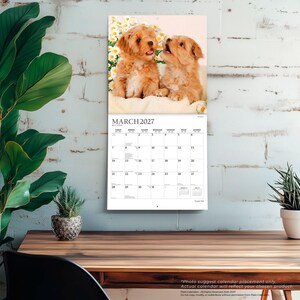Puede incluir: Un calendario de pared para marzo de 2027 con una fotograf&iacute;a de dos cachorros de color marr&oacute;n claro sentados frente a margaritas blancas. La cuadr&iacute;cula muestra el mes, el a&ntilde;o y los d&iacute;as de la semana en negro sobre fondo blanco, con un logo.