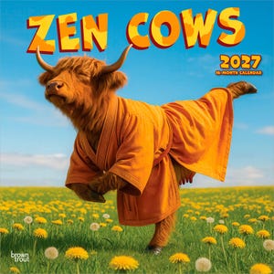 Pode incluir: Um calend&aacute;rio de 16 meses para 2027 intitulado Zen Cows, apresentando uma vaca Highland castanha vestindo um manto laranja, em p&eacute; sobre uma pata num campo de dentes-de-le&atilde;o amarelos sob um c&eacute;u azul. O texto Zen Cows e 2027 16-month calendar est&aacute; impresso.