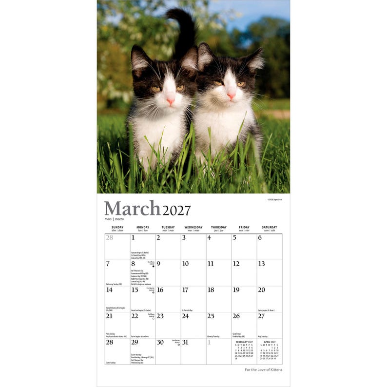 May include: A wall calendar for March 2027 featuring a photograph of two black and white kittens standing in green grass. The calendar grid displays the month, year, days of the week, and dates with small text for holidays and lunar phases.