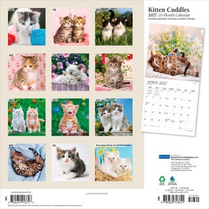 Peut inclure: Un calendrier mural 2027 Kitten Cuddles de 16 mois pr&eacute;sentant diverses photographies de chatons. La couverture arri&egrave;re affiche des vignettes mensuelles, une page d'exemple pour avril 2027, des informations sur l'&eacute;diteur et un code-barres.