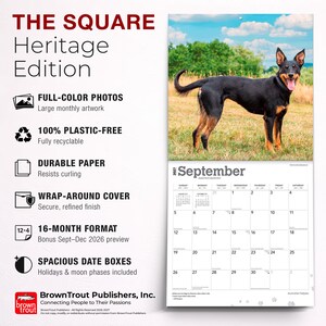 Puede incluir: Un calendario de pared 2027 titulado THE SQUARE Heritage Edition que muestra un perro Kelpie australiano negro y fuego en un campo de hierba. El calendario incluye fotos a todo color, un formato de 16 meses, papel duradero y espaciosas casillas.