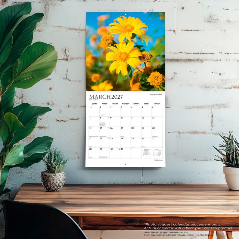 K&ouml;nnte beinhalten: Ein Wandkalender f&uuml;r M&auml;rz 2027 mit einer Fotografie von leuchtend gelben mexikanischen Sonnenblumen vor einem klaren blauen Himmel. Das Kalenderraster zeigt den Monat, das Jahr und die Wochentage in schwarzer Schrift auf wei&szlig;em Grund.
