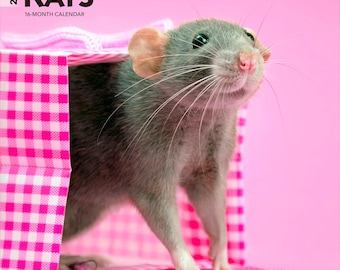 Rats | 2026 12 x 24 Inch (Hanging) Monthly Square Wall Calendar | Plastic-Free | BrownTrout | Domestic Animals Mouse