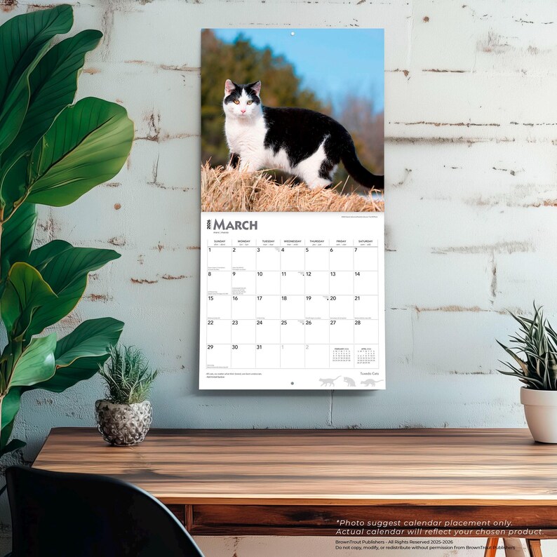 K&ouml;nnte beinhalten: Ein Wandkalender mit einer schwarz-wei&szlig;en Katze auf einem Heuballen vor blauem Himmel. Die Kalenderseite zeigt den Monat M&auml;rz. Der Kalender h&auml;ngt an einer wei&szlig;en Backsteinmauer.