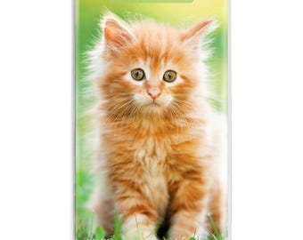 Abrazos de gatitos / Agenda mensual de bolsillo de dos años 2027-2028, 3.5 x 6.5 pulgadas / BrownTrout / Animales Lindos gatos felinos