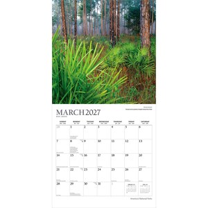 K&ouml;nnte beinhalten: Eine Wandkalenderseite f&uuml;r M&auml;rz 2027 mit einem Foto eines Kiefernwaldes und gr&uuml;nen Palmettopflanzen im Vordergrund. Das Kalenderraster zeigt die Tage des Monats, wobei kleiner Text die Daten f&uuml;r Februar und April 2027 angibt.