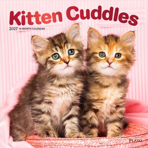 Peut inclure: Un calendrier 2027 de 16 mois intitul&eacute; Kitten Cuddles montrant deux chatons tigr&eacute;s bruns et orange duveteux assis c&ocirc;te &agrave; c&ocirc;te. Les chatons ont des yeux verts et sont plac&eacute;s sur un fond rose clair avec la marque Plato visible.