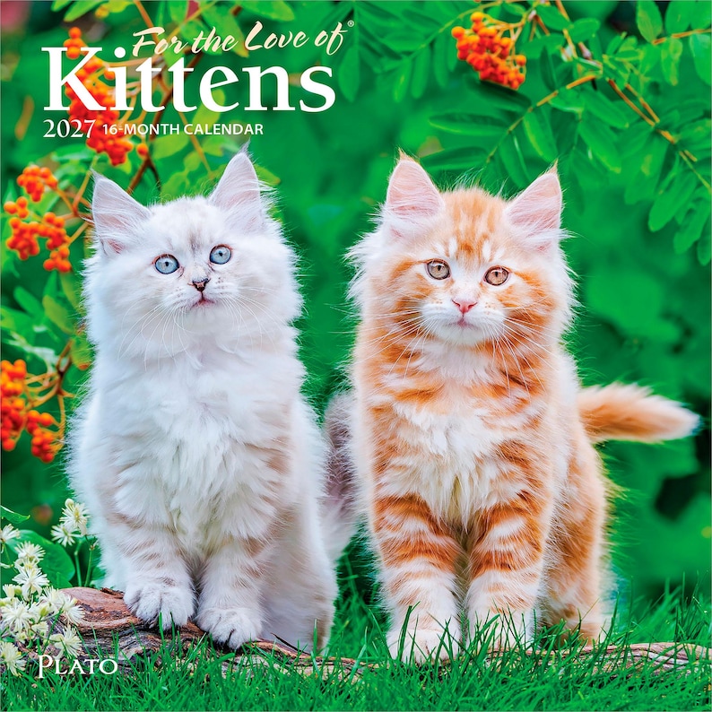 May include: A 2027 16-month calendar titled For the Love of Kittens featuring a white kitten with blue eyes and an orange tabby kitten standing in green foliage with orange berries. The cover includes the text For the Love of Kittens 2027 16-Month Calendar.
