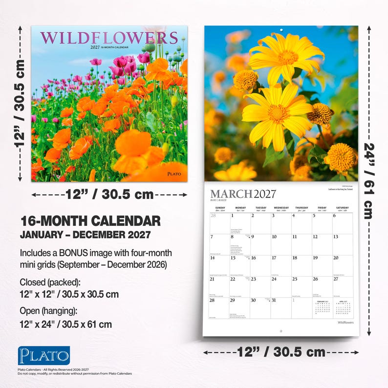K&ouml;nnte beinhalten: Ein 16-Monats-Wandkalender mit dem Titel Wildflowers 2027, der geschlossen 30,5 cm x 30,5 cm und offen 30,5 cm x 61 cm misst. Er zeigt orangefarbene und rosafarbene Mohnfelder sowie gelbe Blumen, ein Kalenderblatt f&uuml;r M&auml;rz 2027 und Mini-Kalender f&uuml;r 2026.