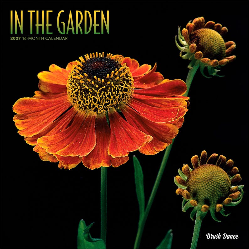 May include: A 2027 16-month calendar titled IN THE GARDEN featuring a large, vibrant orange and yellow flower with a dark center, accompanied by two smaller, budding flowers on green stems against a solid black background with the text Brush Dance.