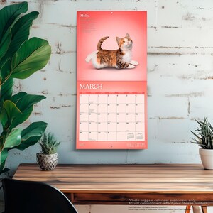 Puede incluir: Un calendario de pared para marzo de 2027 con un gatito calic&oacute; llamado Molly sobre un fondo coral. La cuadr&iacute;cula del calendario muestra las fechas del 1 al 31, con el texto Yoga Kittens en la parte inferior. El dise&ntilde;o usa tonos coral y blanco.