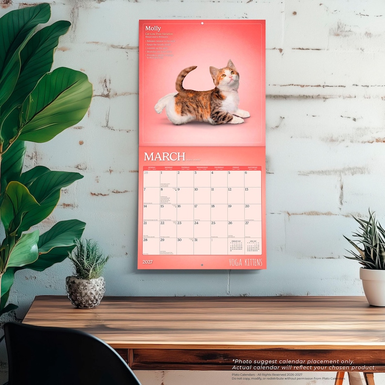 Puede incluir: Un calendario de pared para marzo de 2027 con un gatito calic&oacute; llamado Molly sobre un fondo coral. La cuadr&iacute;cula del calendario muestra las fechas del 1 al 31, con el texto Yoga Kittens en la parte inferior. El dise&ntilde;o usa tonos coral y blanco.